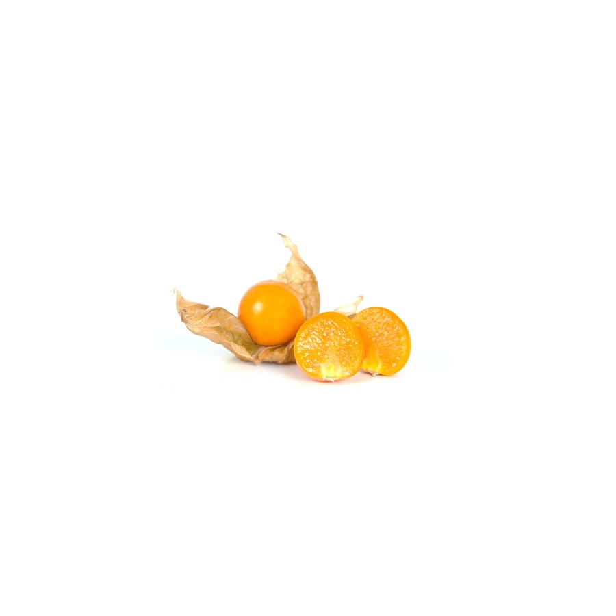 PHYSALIS Colombie